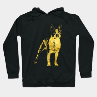 Boston Terrier dog Hoodie